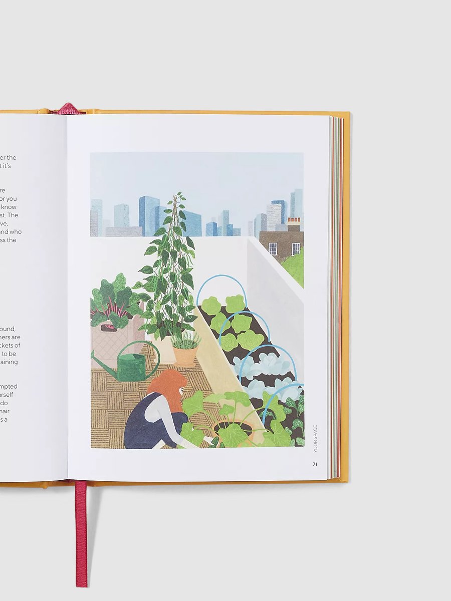 Urban Vegetable Patch