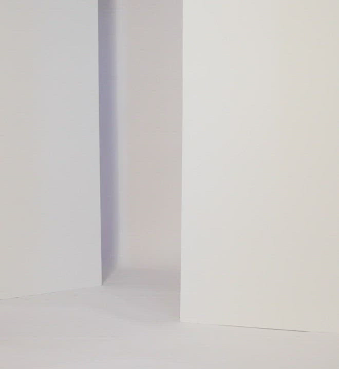 Video - 3D Model Product